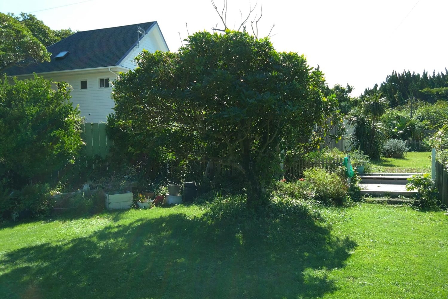 通年緑の広大なグリーンガーデン