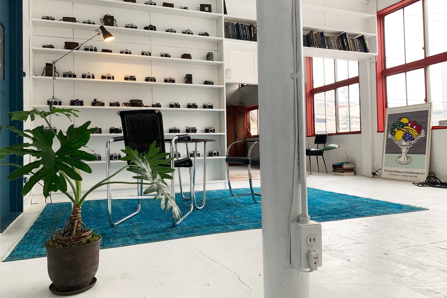 一眼レフ、二眼レフカメラを多く陳列