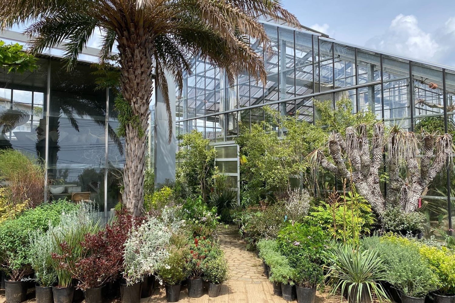 温室とアトリエ