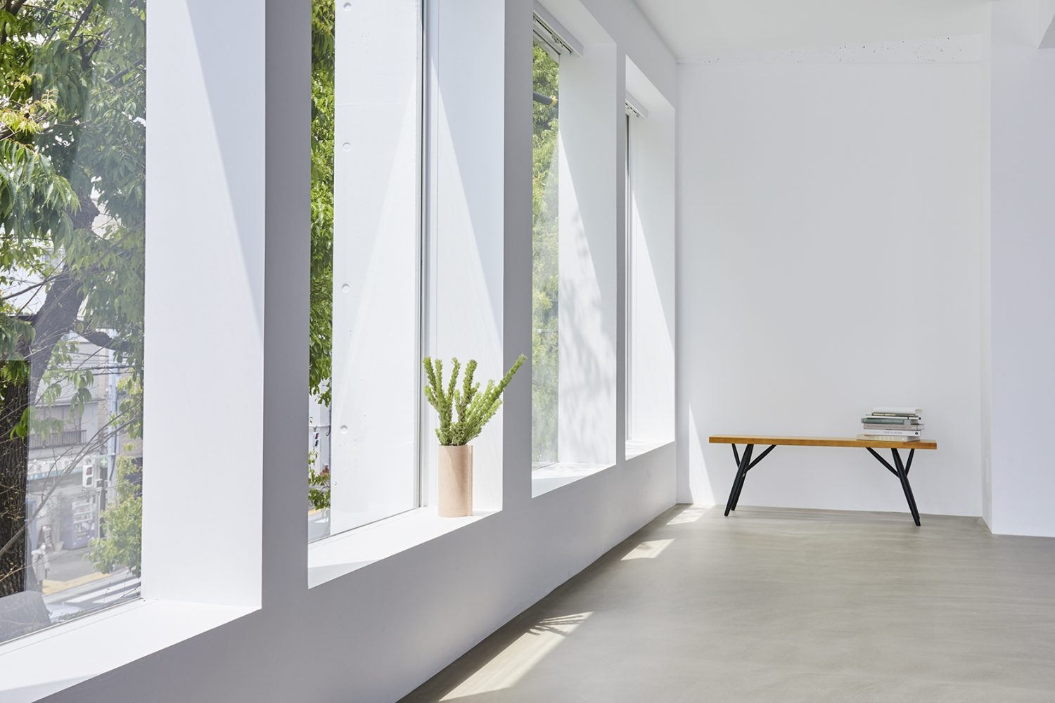 日差しが差し込む窓