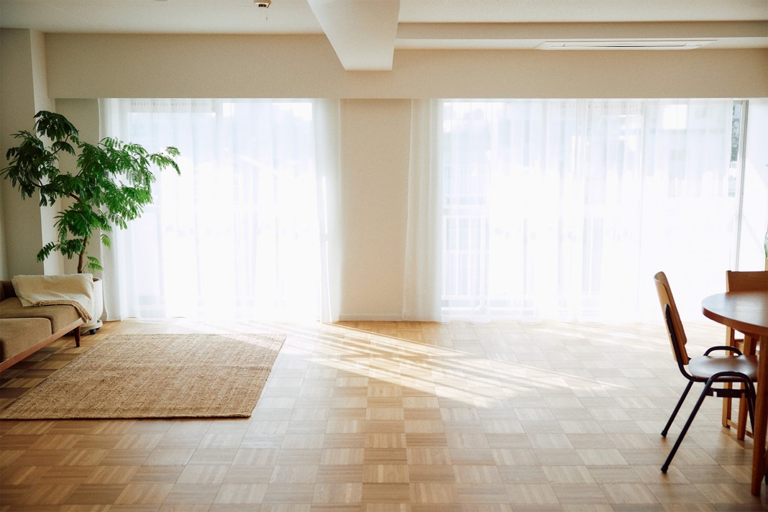 南向きの窓から入る自然光