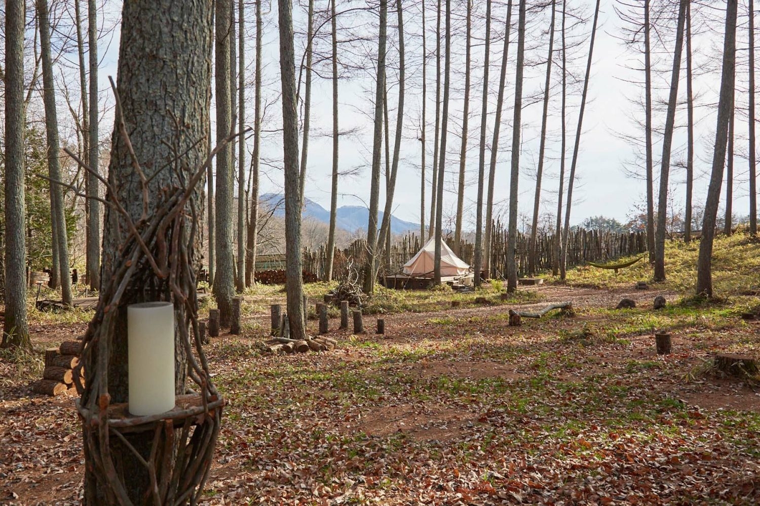 キャンプ場エリア