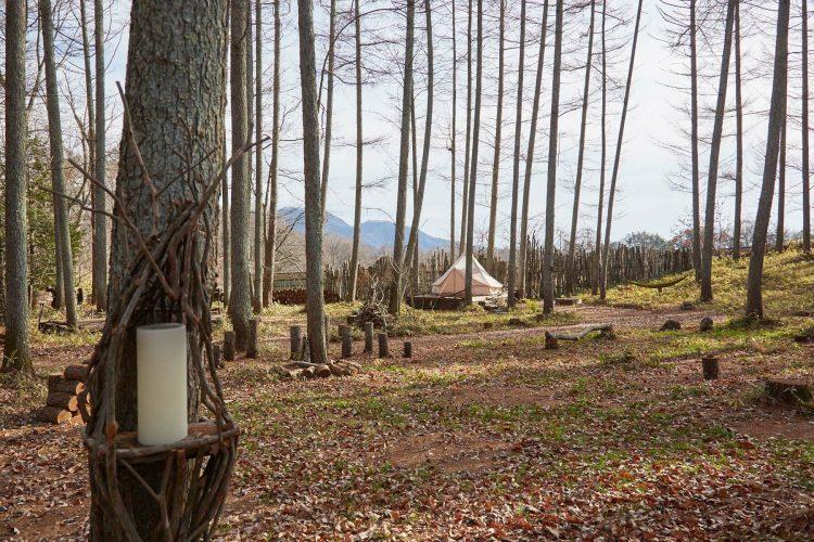 キャンプ場エリア