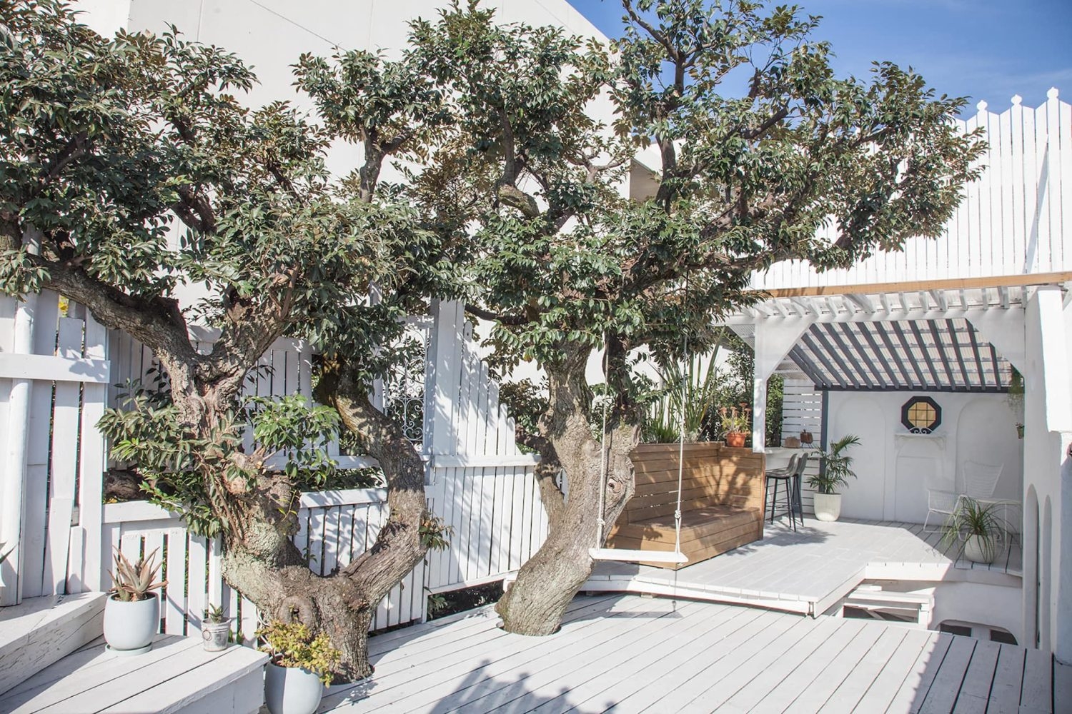 屋上エリア / 大樹の生息する屋上テラス