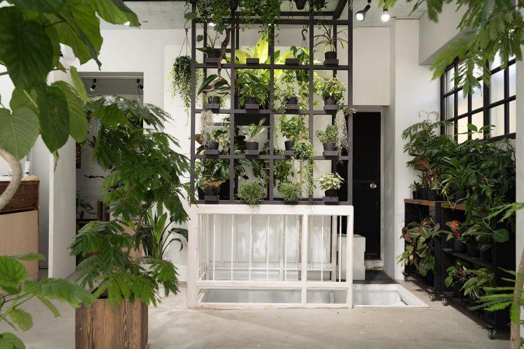 1F 地下に向かう階段