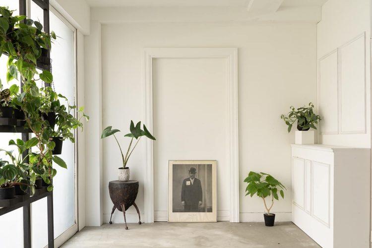 1F 白いモールディング