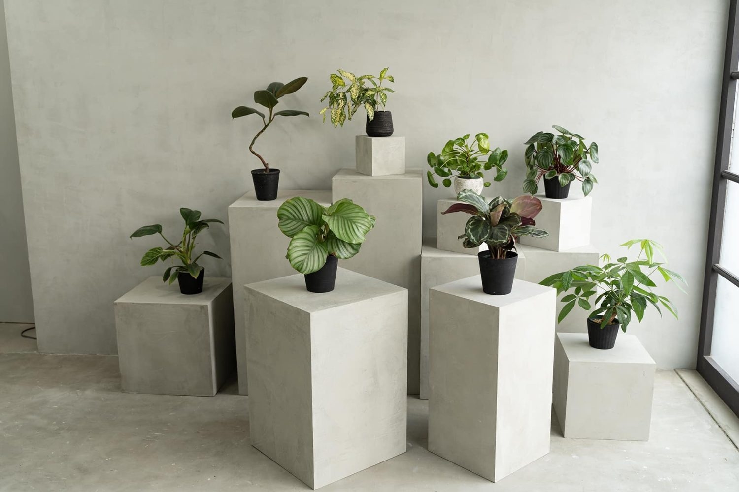 1F ディスプレイ的な配置