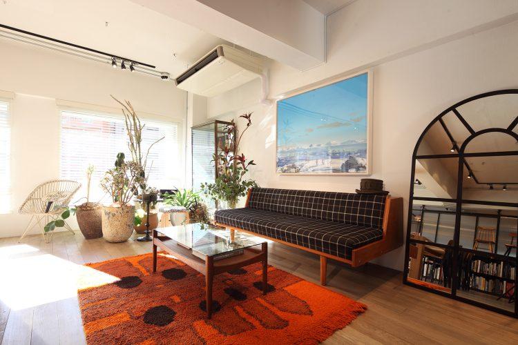 南向きの窓から自然光が入ります