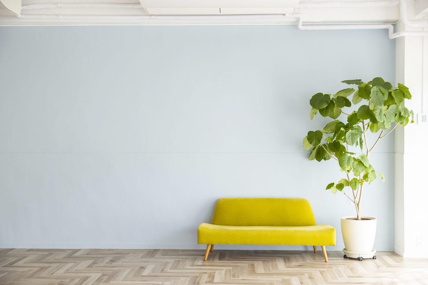 ペールカラーの壁