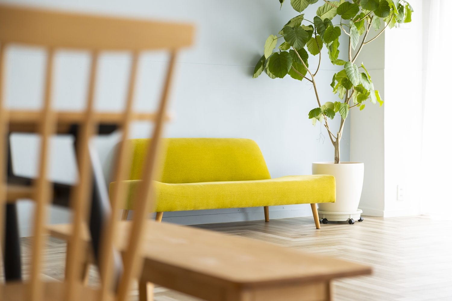 ダイニングセット越しのソファ