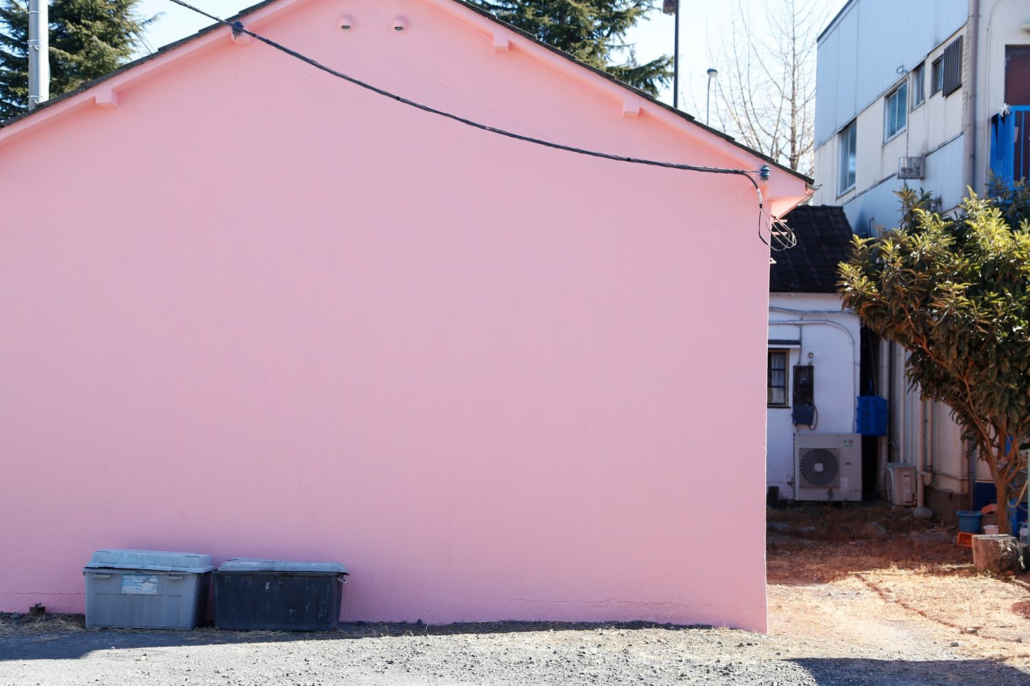 UN QUINTO / ウノクイント