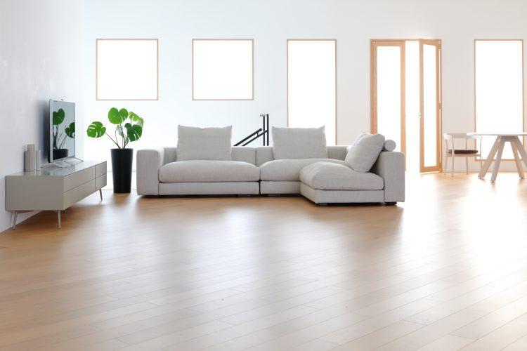 自然光と白壁を使った多彩なアレンジ