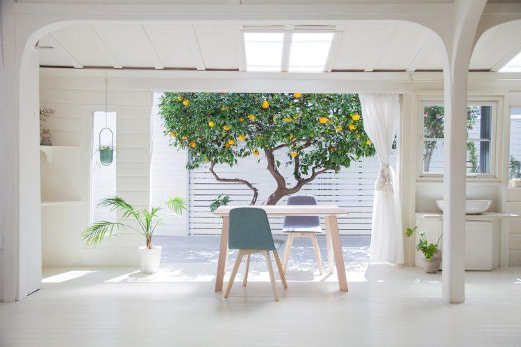 日差しが綺麗なテーブル越しのガーデン