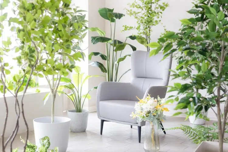 グリーンあふれるスタジオ