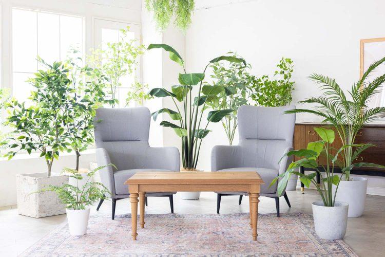 対談やインタビューに