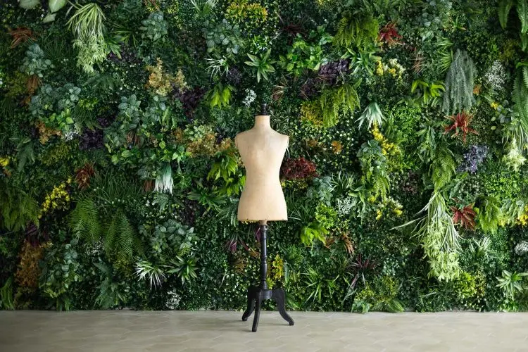 鮮やかなグリーン壁