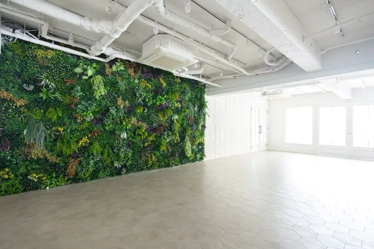 横5mの大きなグリーン壁