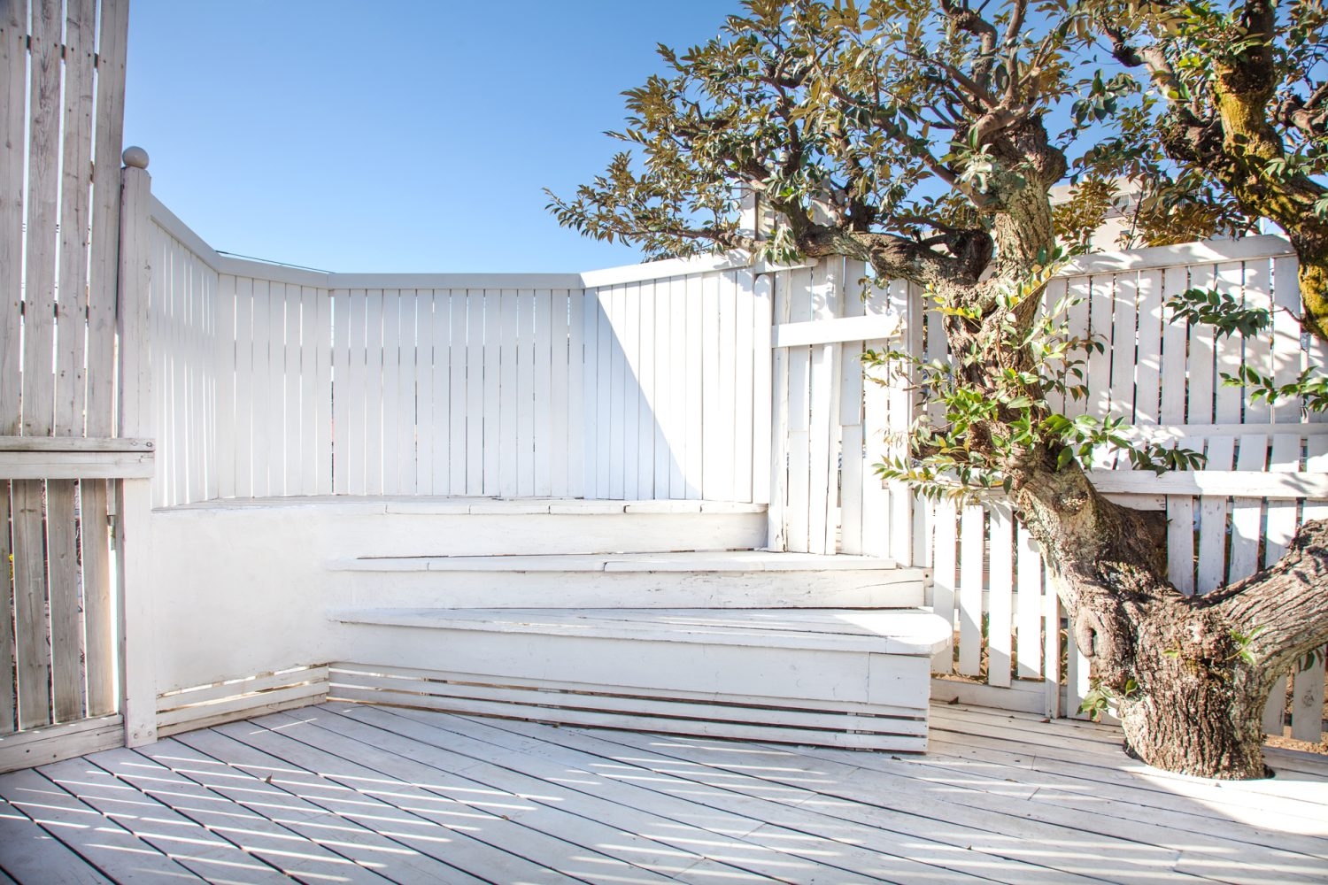 屋上エリア / 背景を気にせず空抜けで撮影可能