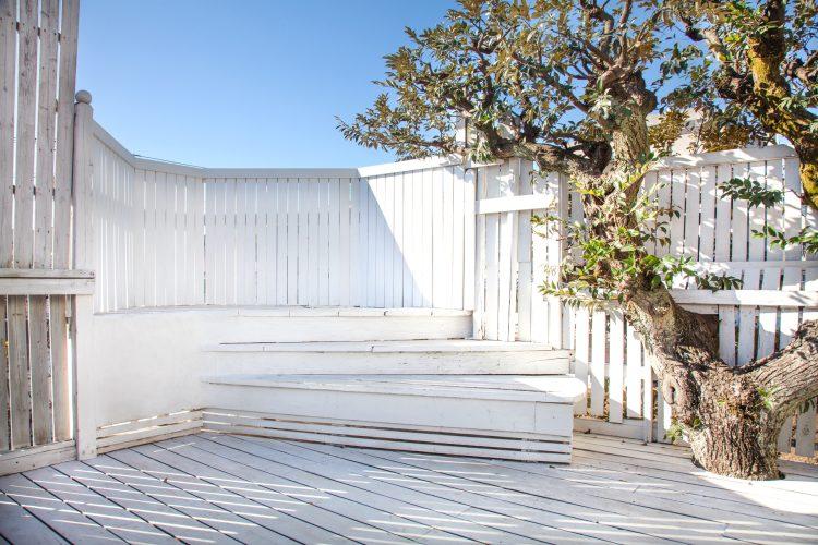 屋上エリア / 背景を気にせず空抜けで撮影可能