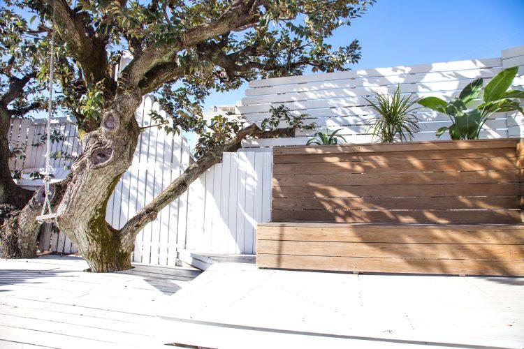 屋上エリア / 大樹の生息する屋上テラス