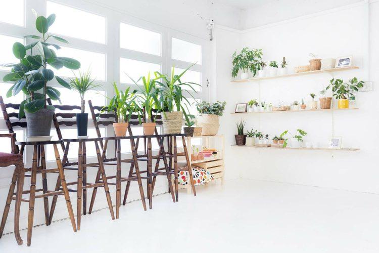 シンプルな棚とミニ観葉植物