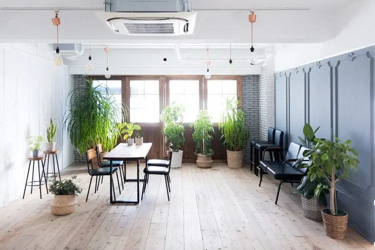 落ち着いた雰囲気のスペース