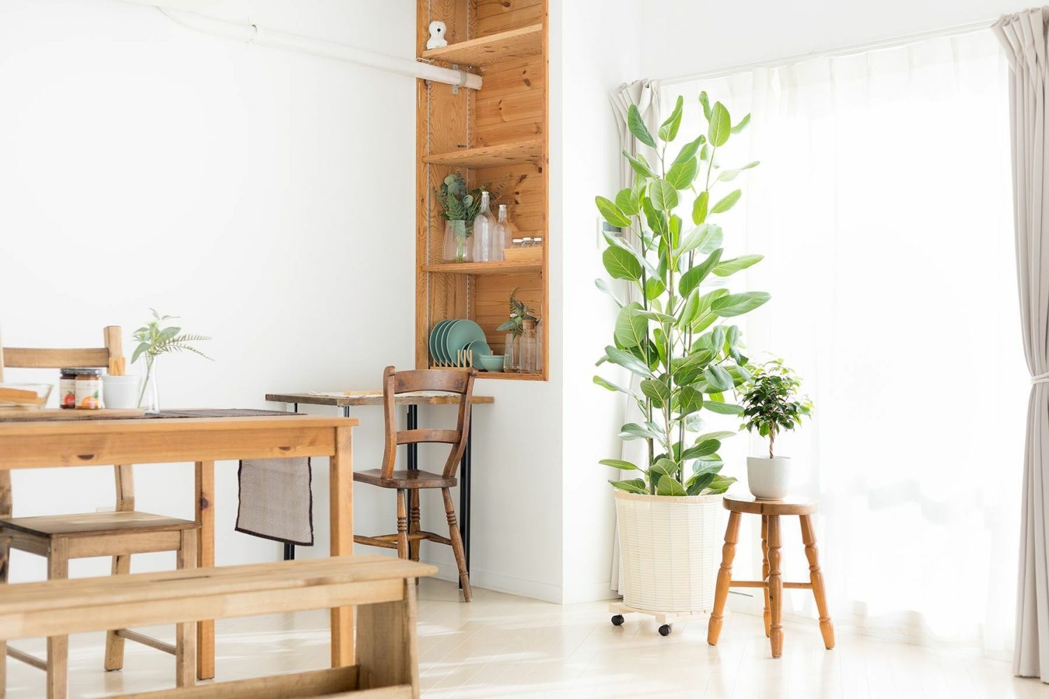 観葉植物がアクセントに