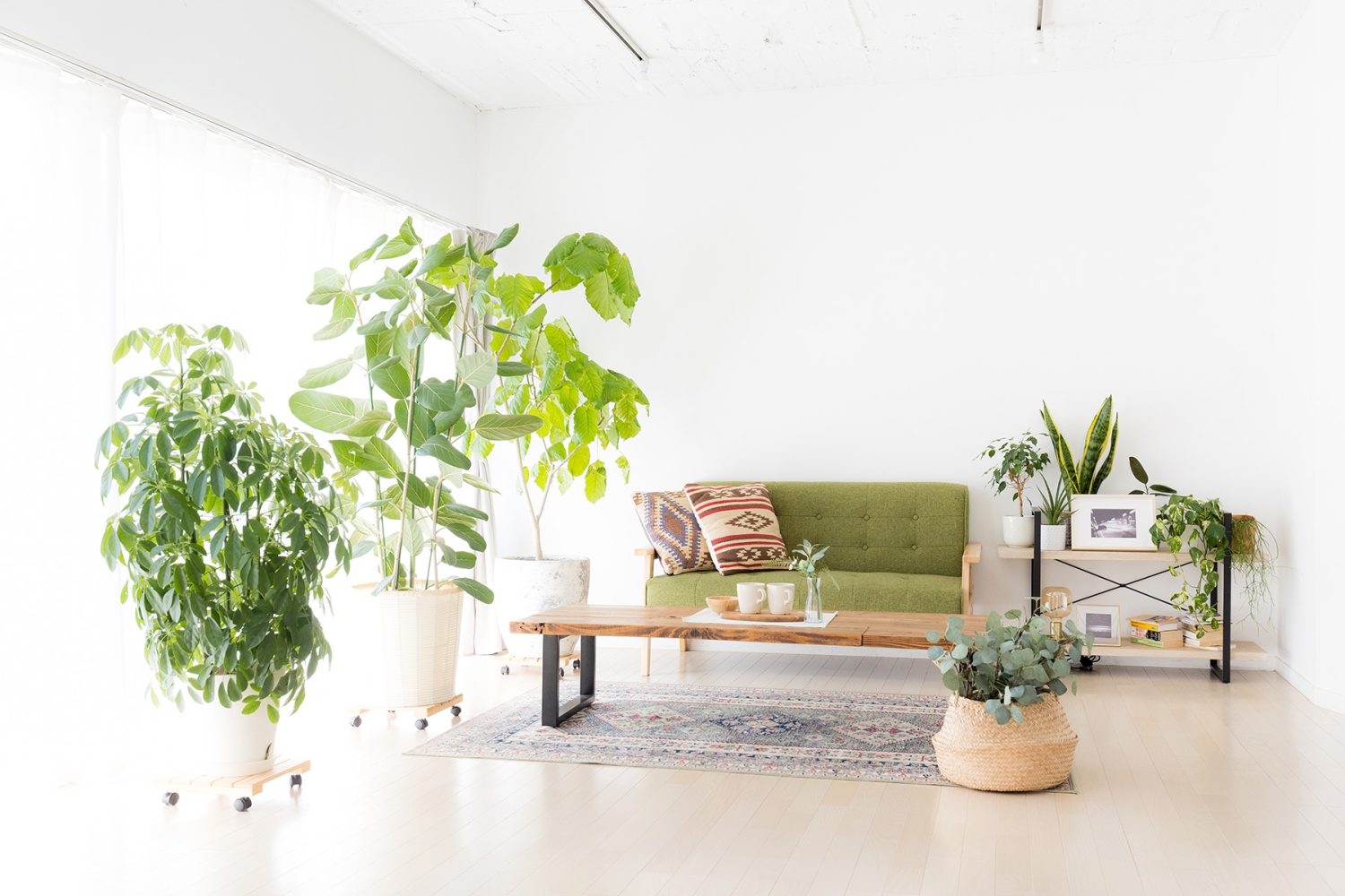 おうち時間の再現にも