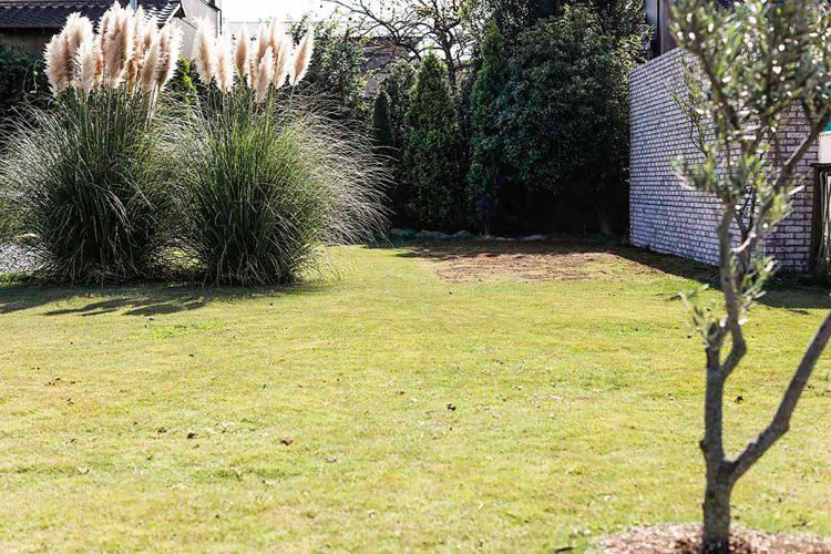 一年中緑の芝生