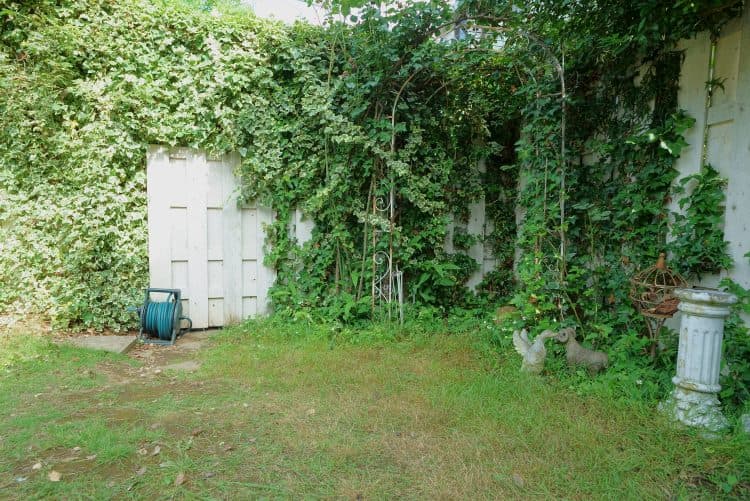 garden2