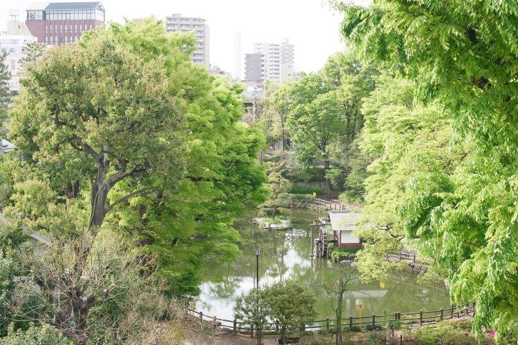 鍋島松濤公園の眺望