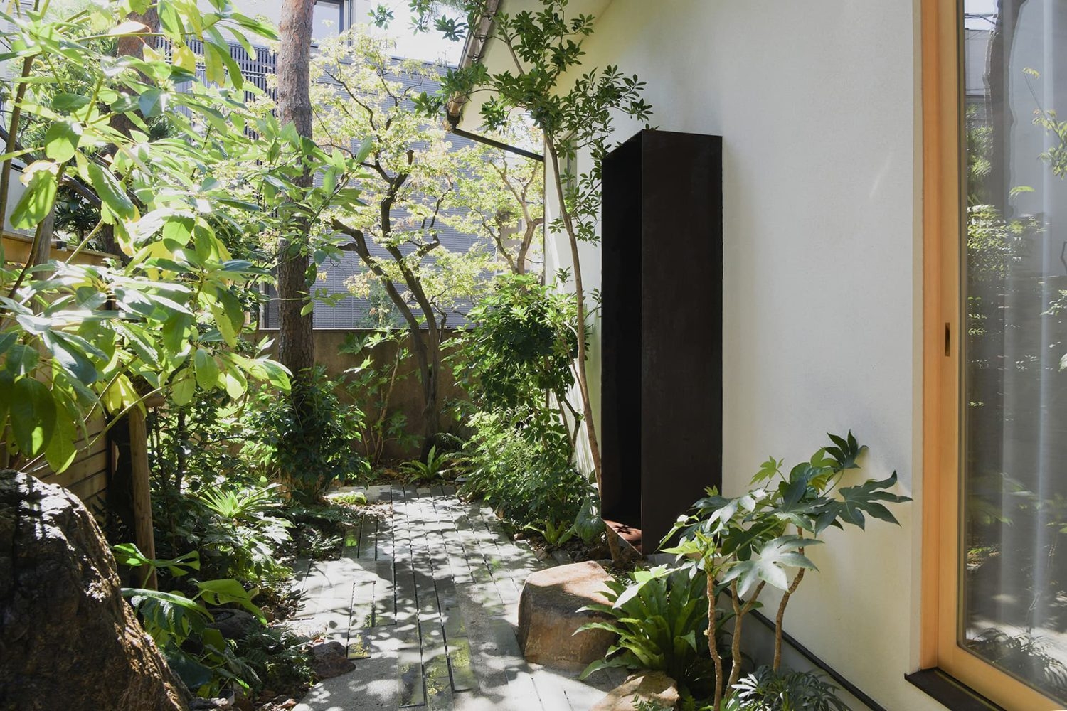 常緑の木々が8割をしめる