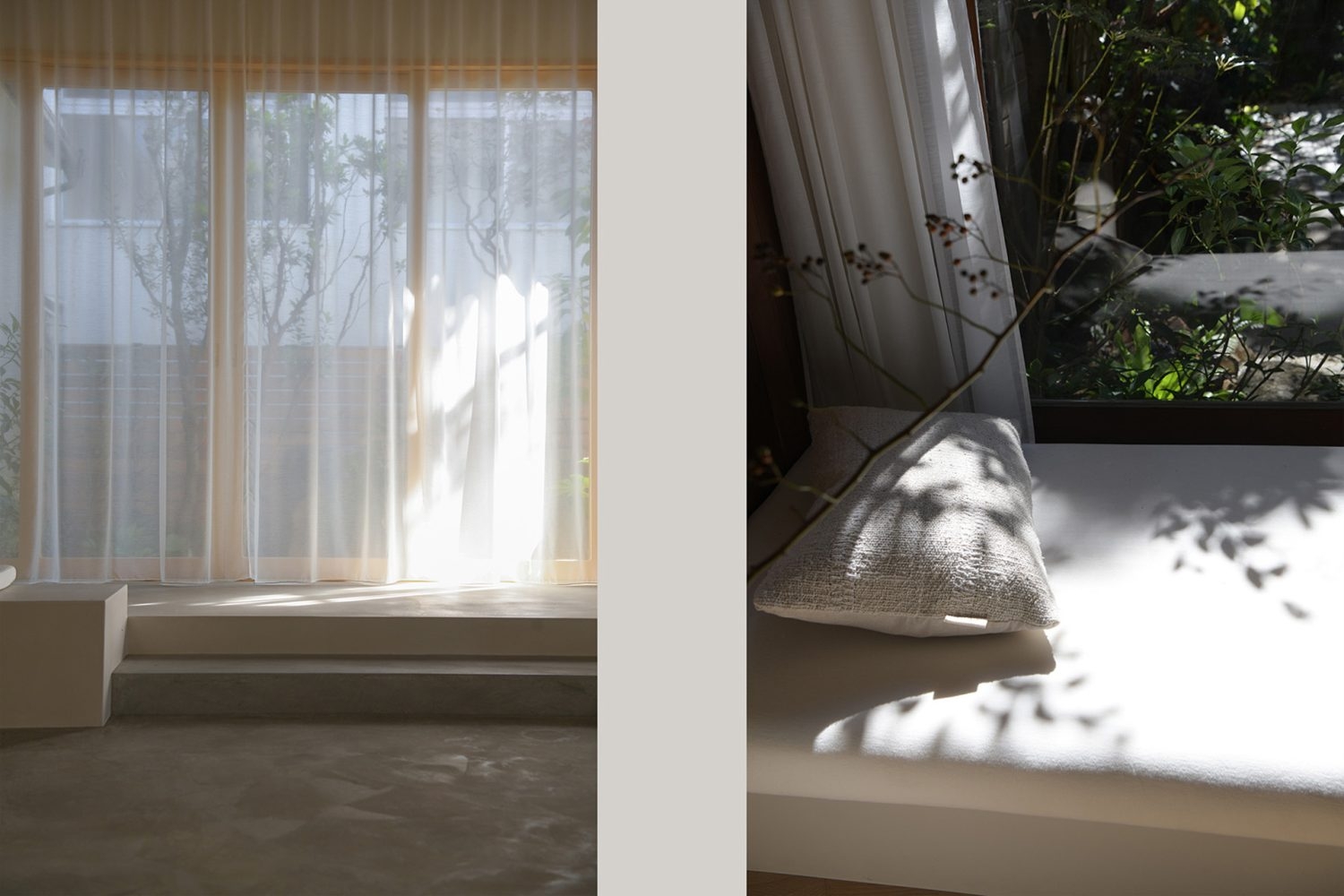 晴れた日は木漏れ日が順に現れる