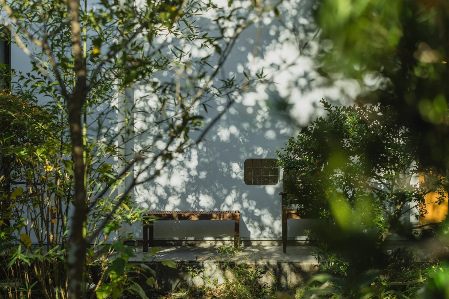 11月10:00頃の母屋玄関付近