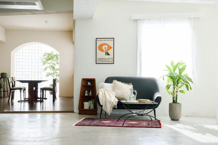 昼過ぎより直射日光