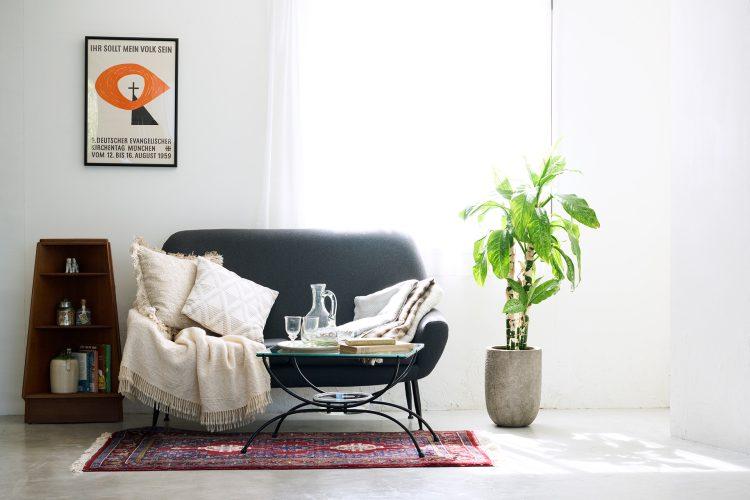 昼過ぎより直射日光