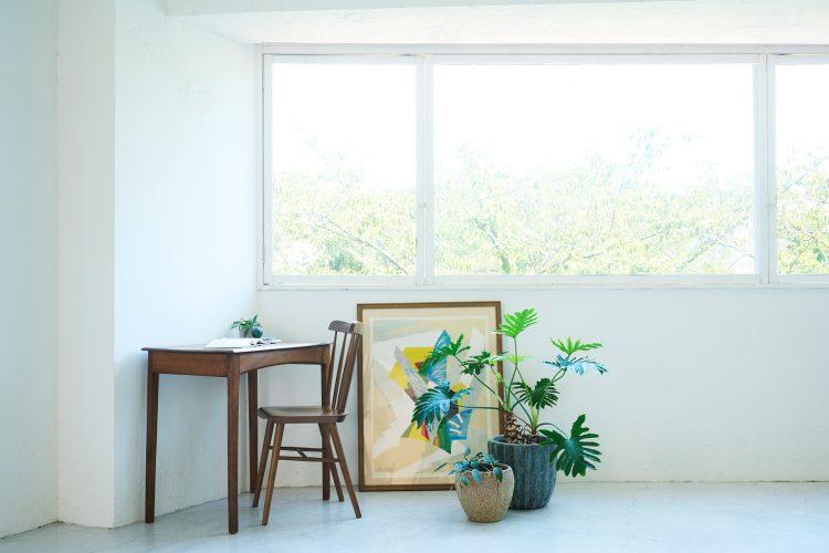 やわらかい自然光の入る目黒川沿い窓