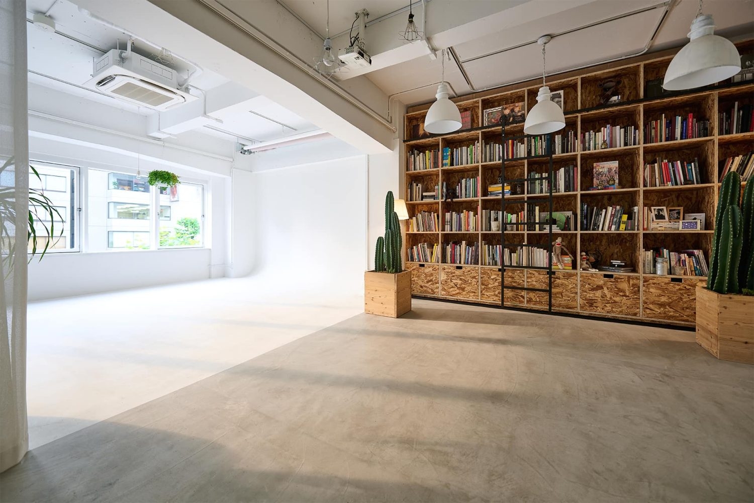 ライブラリーに並ぶ洋書