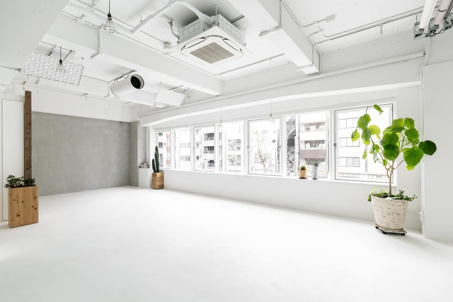 窓から差し込む自然光