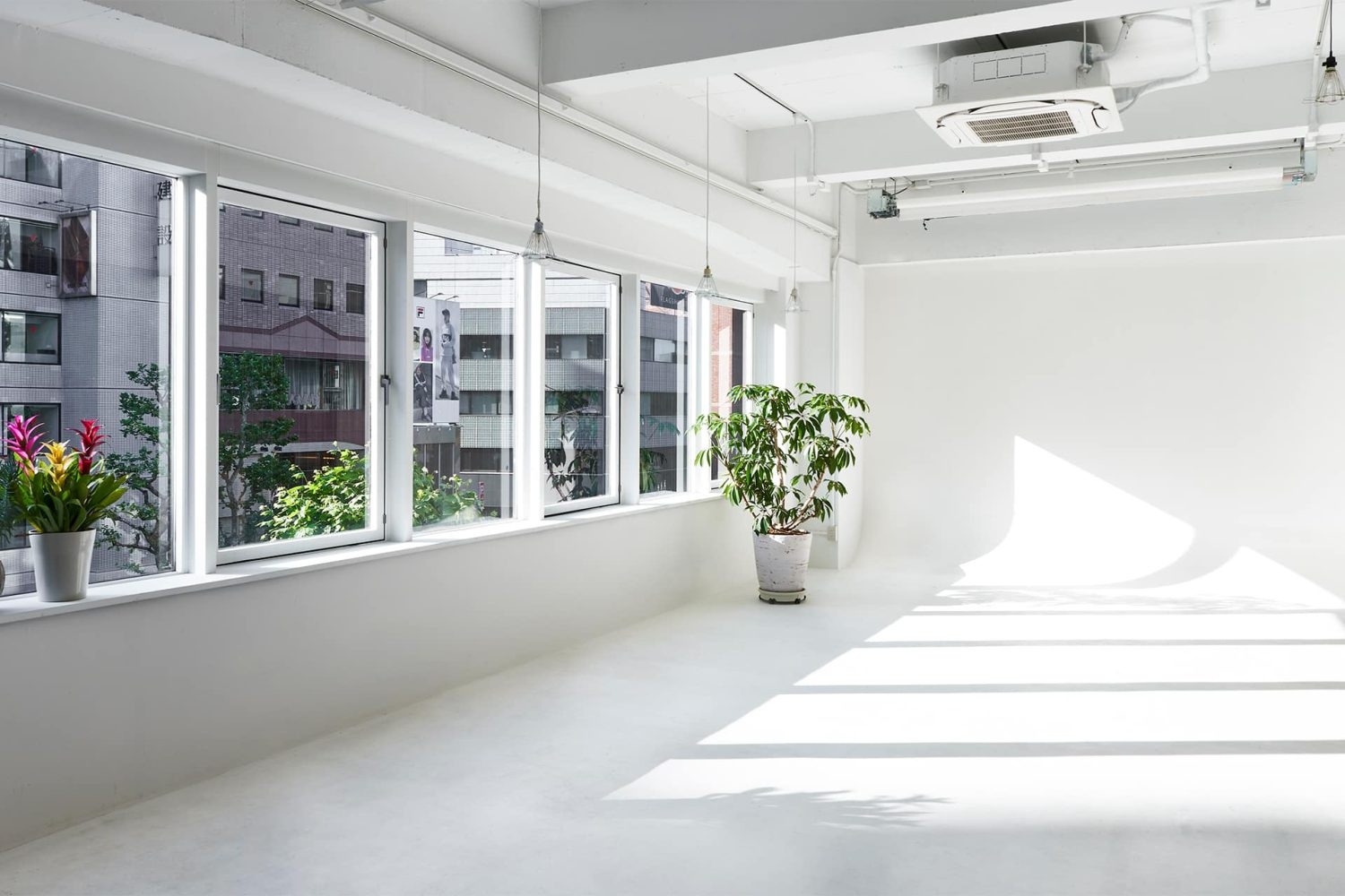 さまざまなグリーン