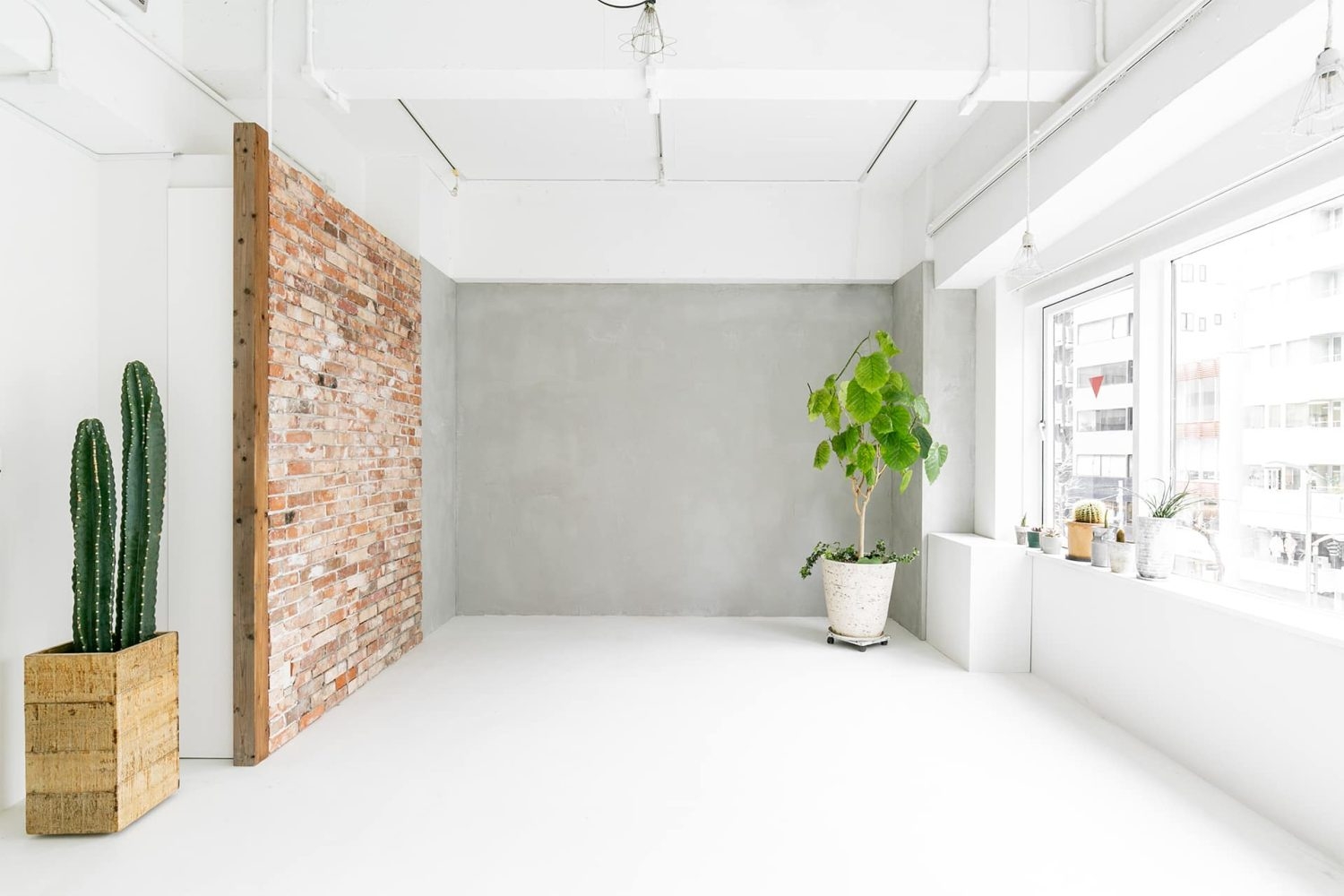 窓枠へものを置いての撮影も