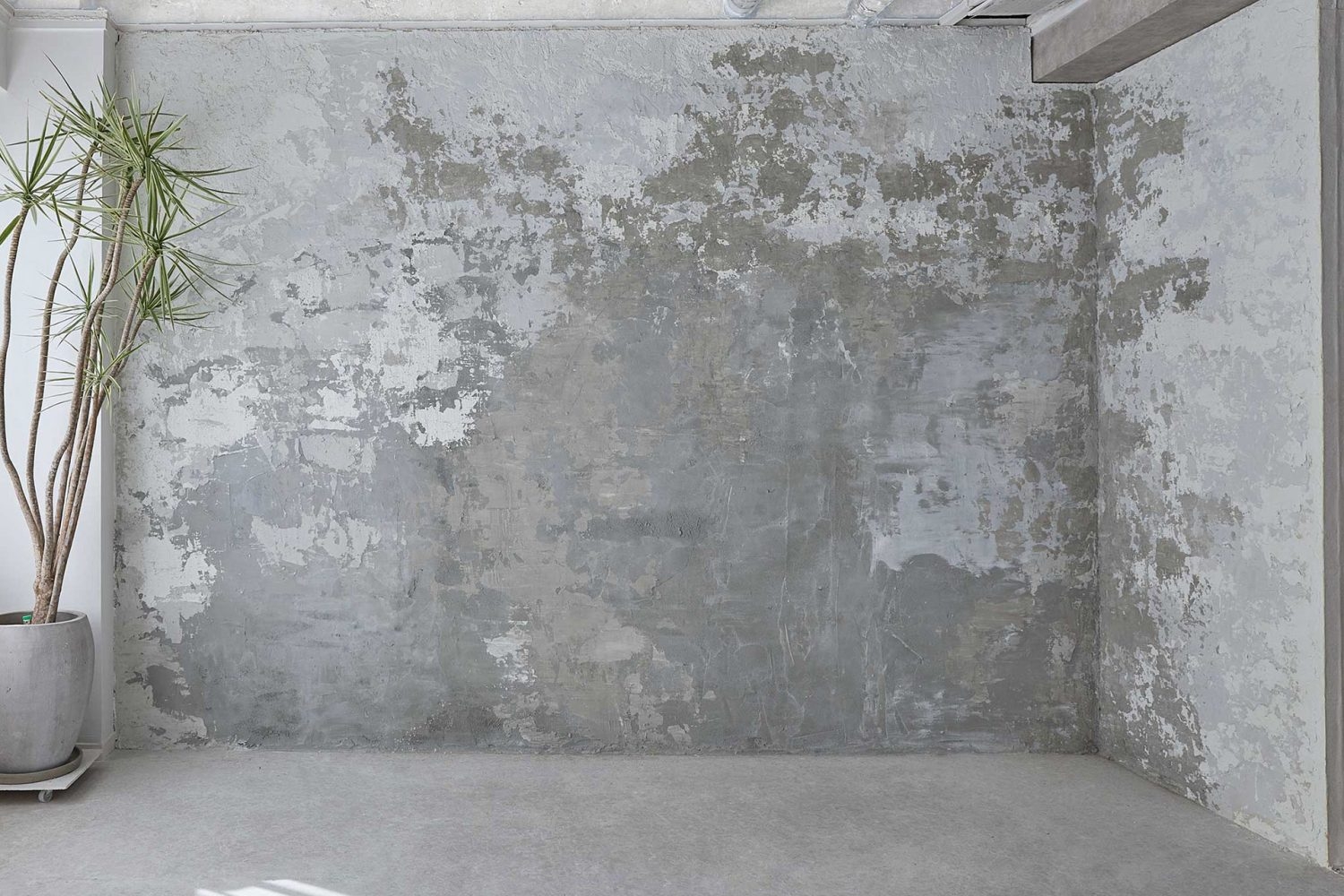 モルタル塗装壁
