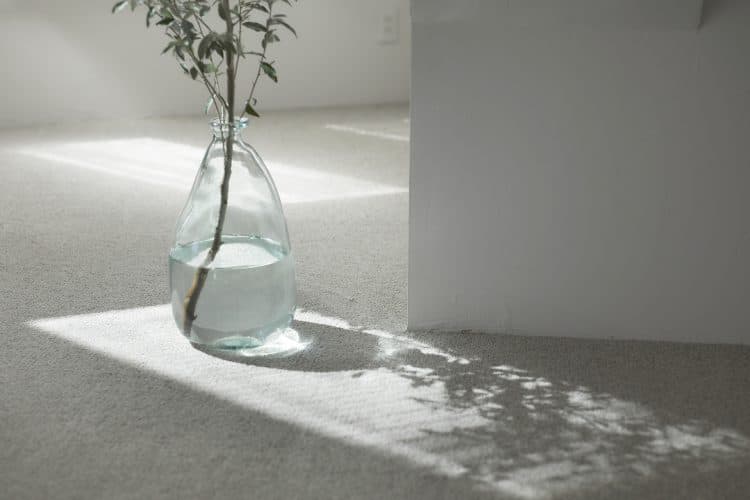 花瓶と枝の影