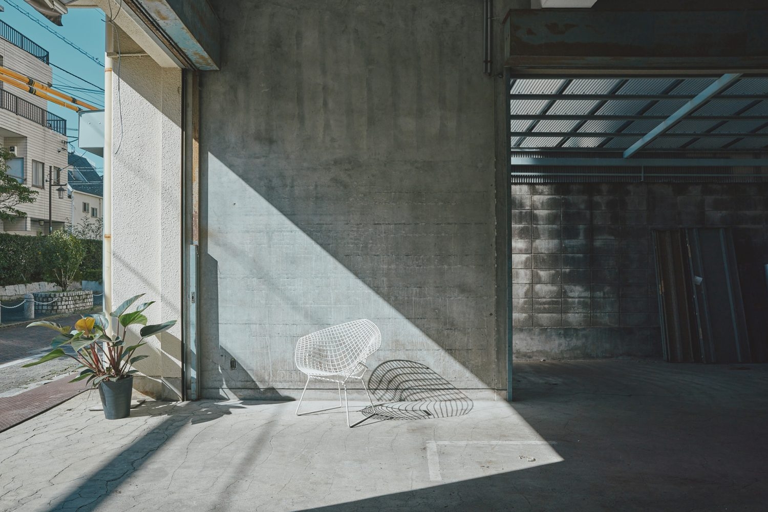 南側入口からの直射