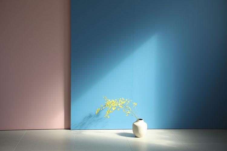 4F スライドする色壁