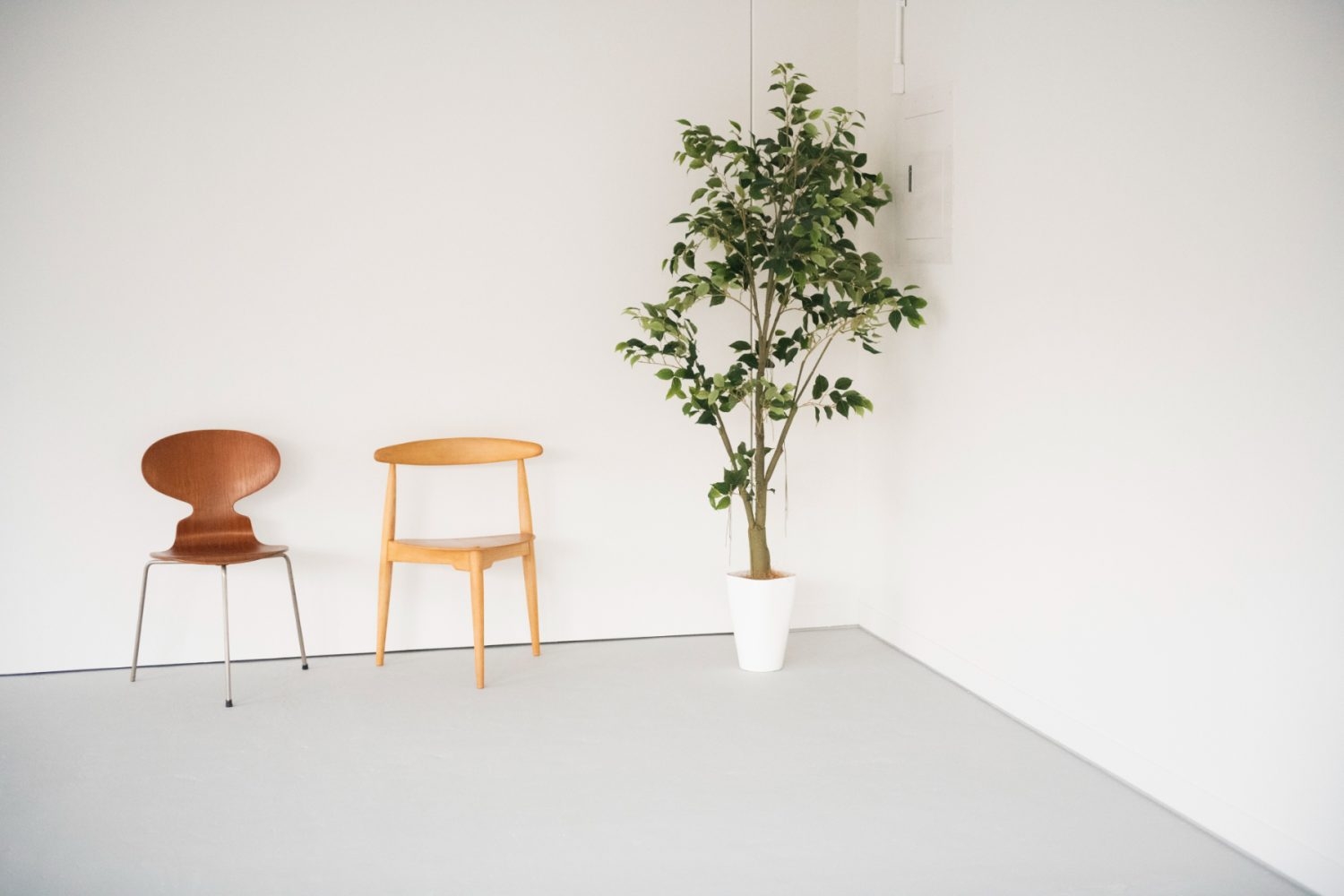 木壁×グリーン