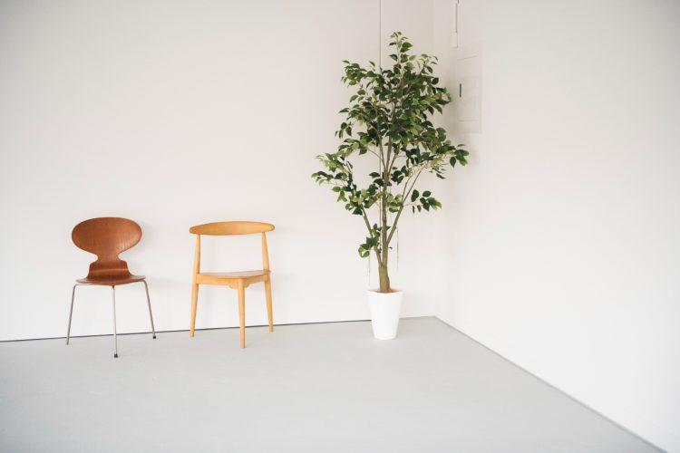 木壁×グリーン