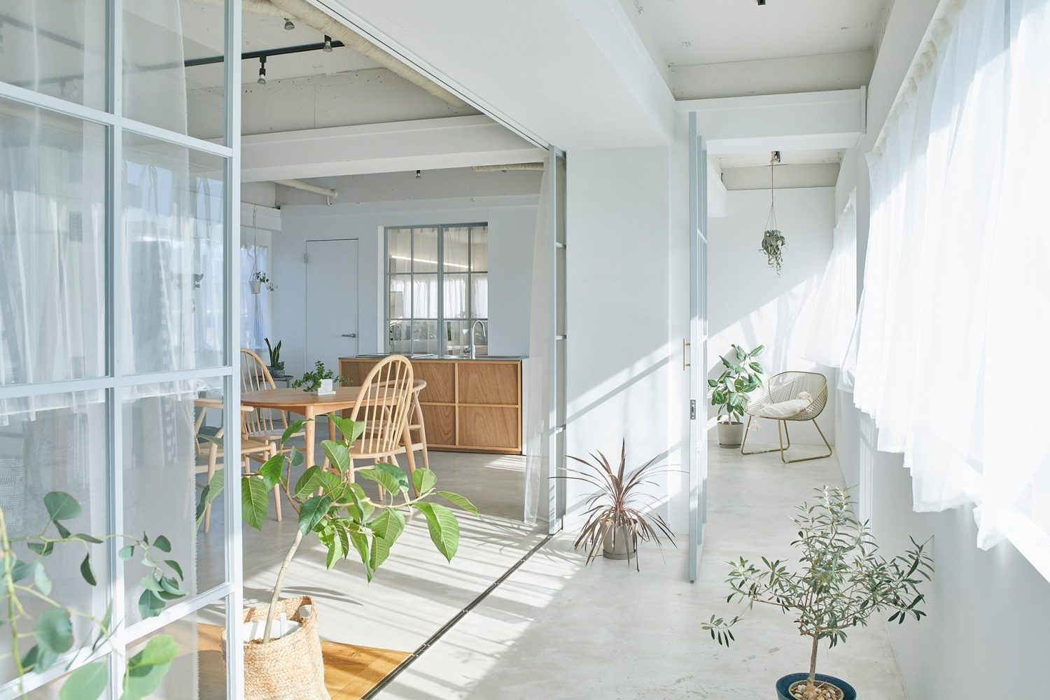 午後は光が日没前までたっぷりと