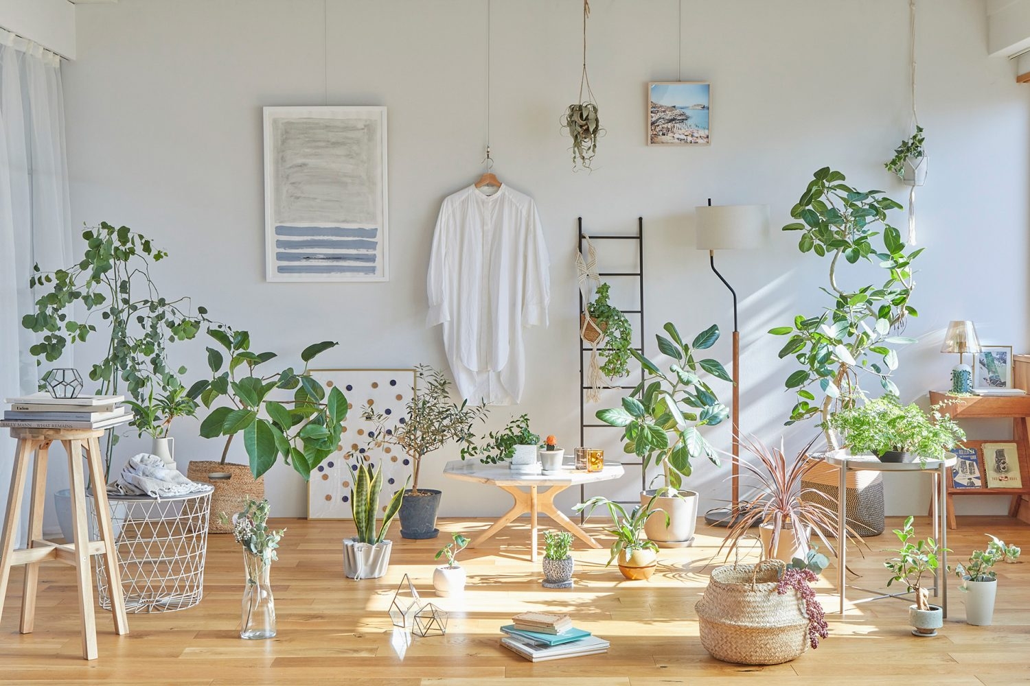 大中小植物・天井ハンギング