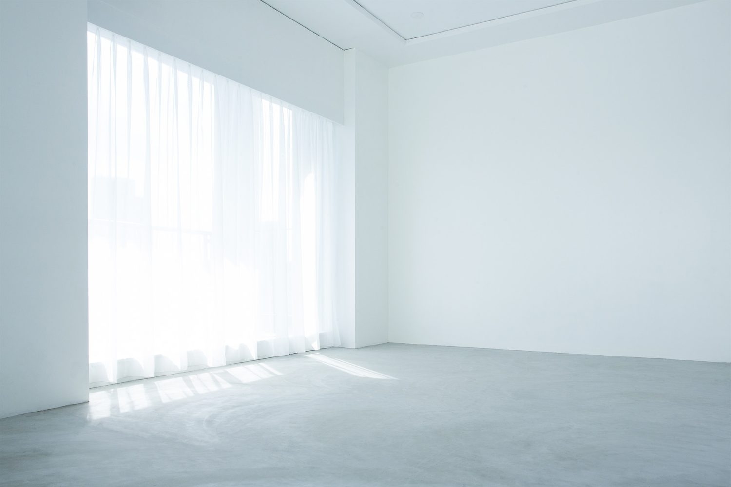 やわらかな自然光